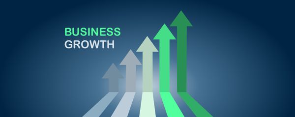 Denise McQuaid on Business Growth Strategy